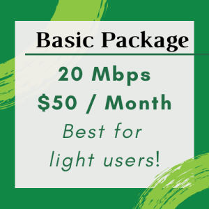basic package 20mbps $50/month best for light users